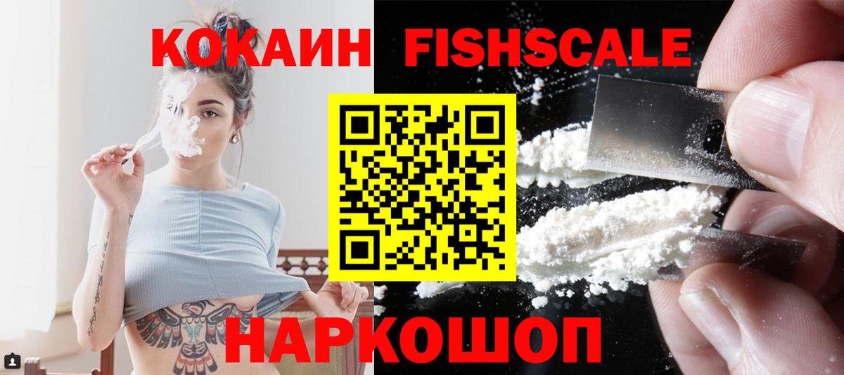 COCAIN Fish Scale  Cocaine VHQ  Новозыбков  Вход с VPN 