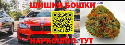 гидра Гай
