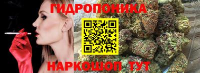 молекула духа Гатчина