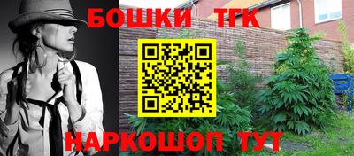 молекула духа Гатчина