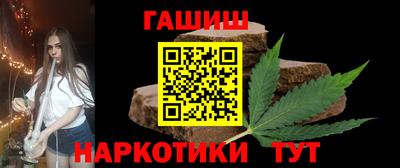 гидра Гай