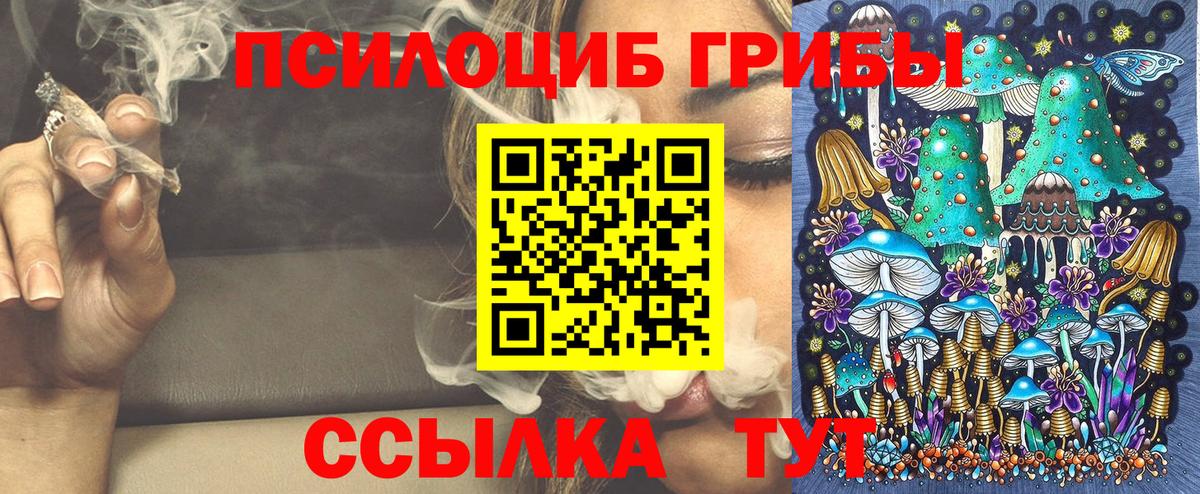 Псилоцибиновые грибы ЛСД Новозыбков