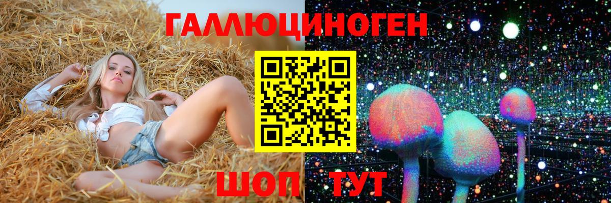 цена наркотик  Вход с VPN  Новозыбков  Псилоцибиновые грибы Magic Shrooms 